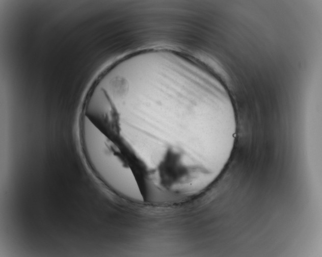 X0000093211040200710101322