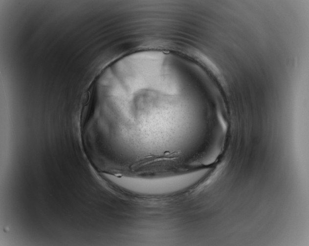 X0000093211041200710101323