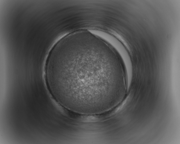 X0000093211042200710101323