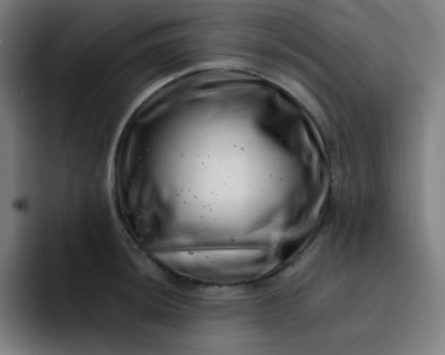 X0000093211044200710101323