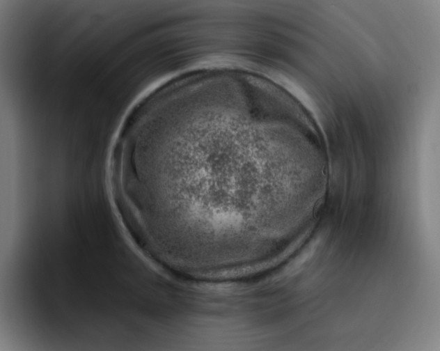 X0000093211045200710101323