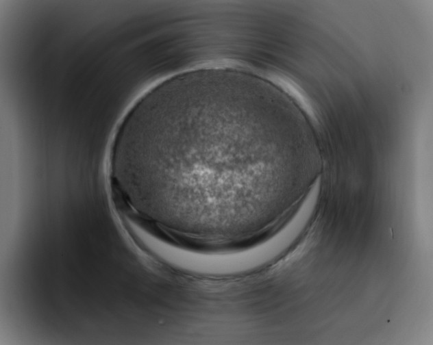 X0000093211046200710101323