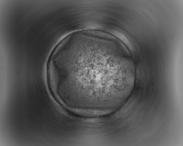 X0000093211047200710101323