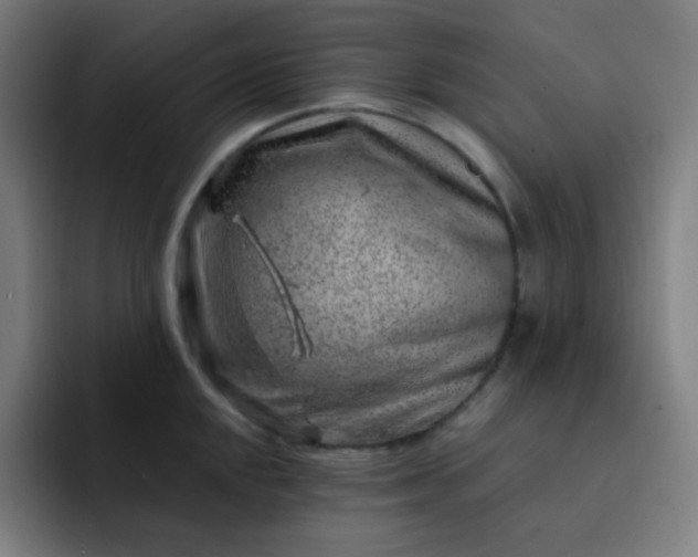 X0000093211048200710101323