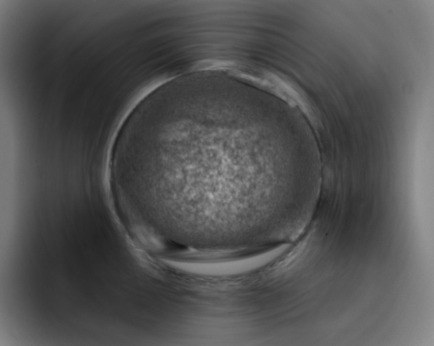 X0000093211050200710101323