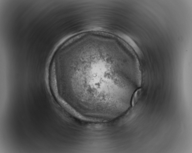 X0000093211051200710101323