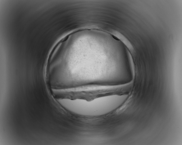 X0000093211052200710101323