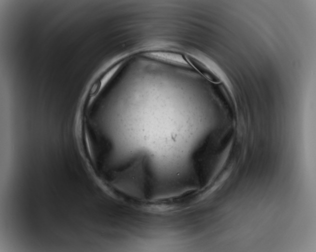 X0000093211053200710101323