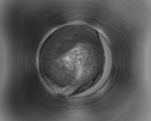 X0000093211054200710101323