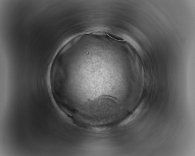 X0000093211055200710101323