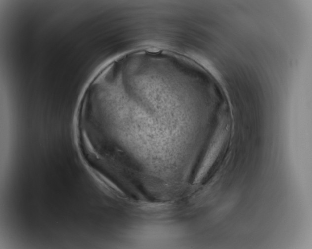 X0000093211056200710101323