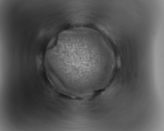 X0000093211059200710101322