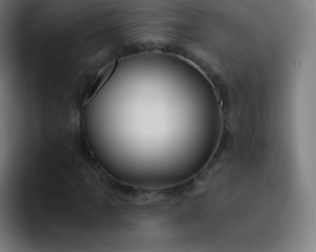 X0000093211061200710101322