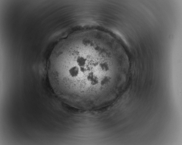 X0000093211063200710101322