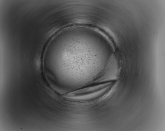 X0000093211065200710101322