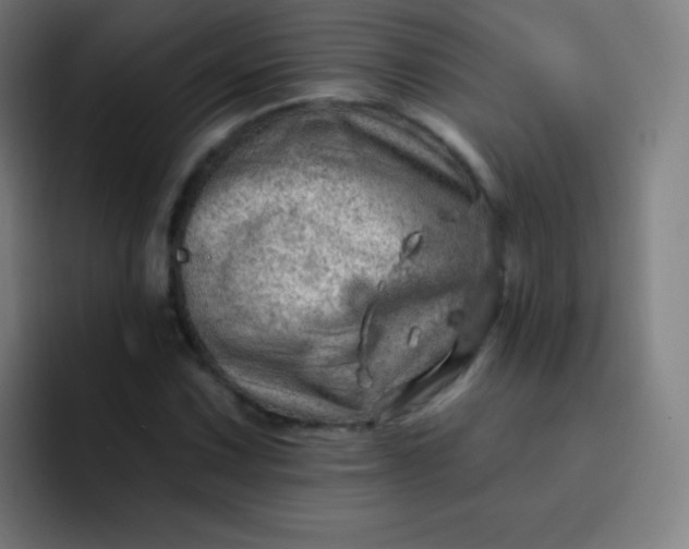 X0000093211067200710101322