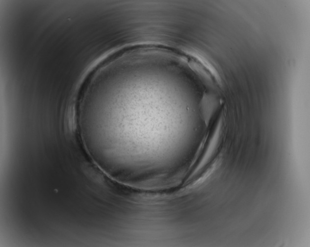 X0000093211069200710101322