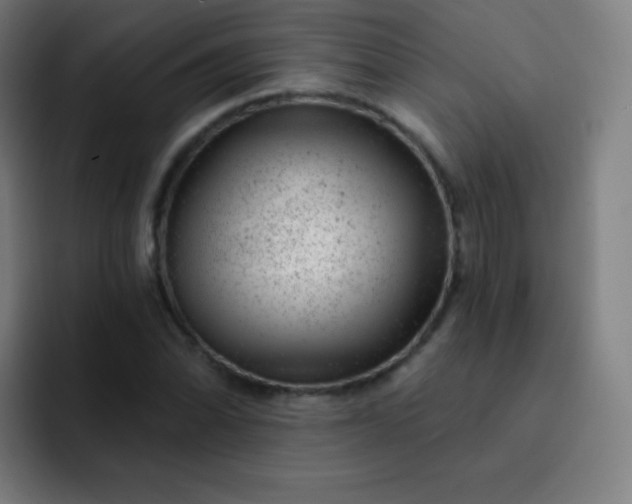 X0000093211070200710101322