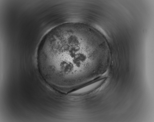 X0000093211071200710101322