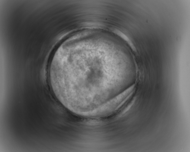 X0000093211074200710101322