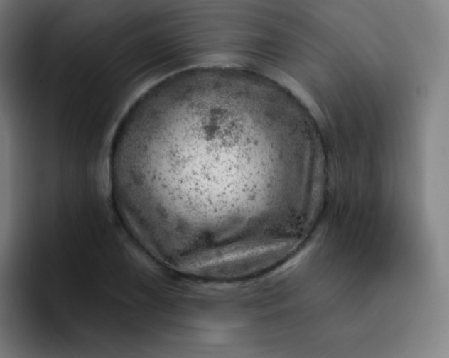 X0000093211075200710101322