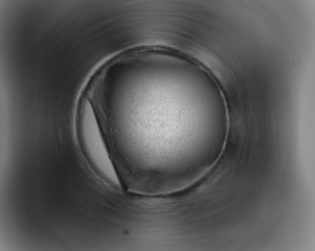 X0000093211076200710101322