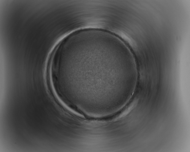 X0000093211077200710101322