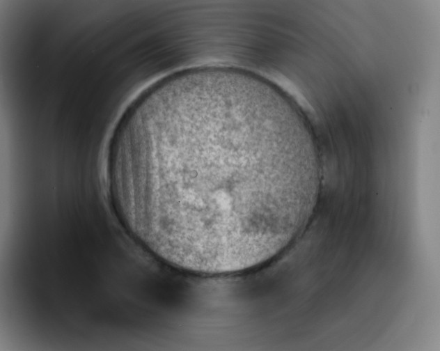 X0000093211078200710101322