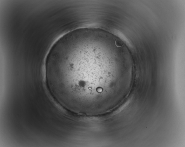 X0000093211079200710101322