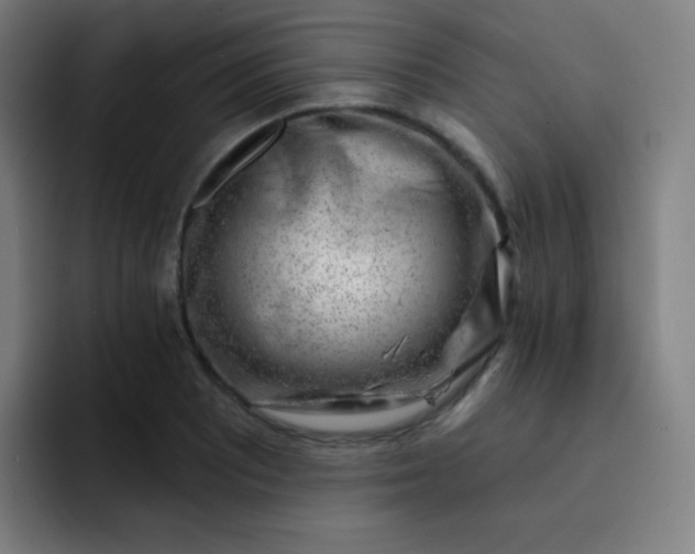 X0000093211081200710101322