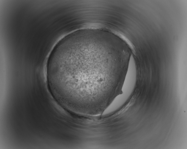 X0000093211083200710101322