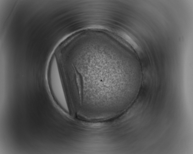 X0000093211084200710101322