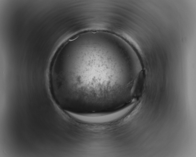 X0000093211085200710101322