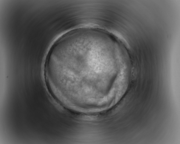 X0000093211086200710101322