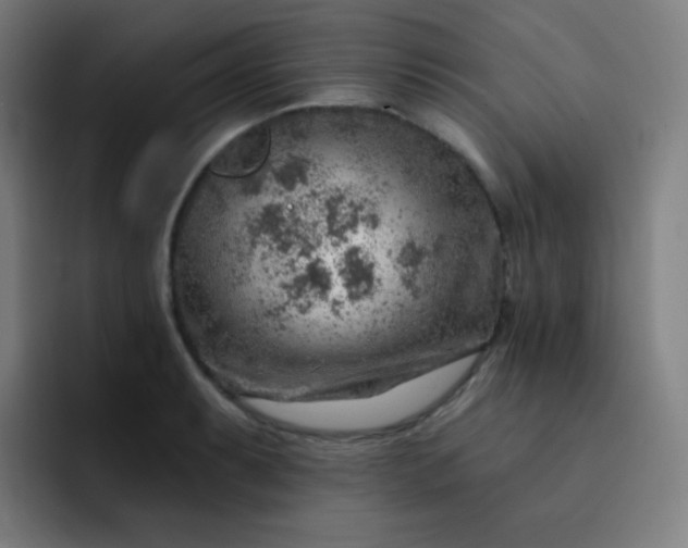 X0000093211087200710101322