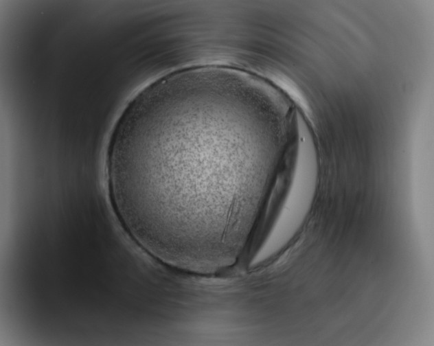 X0000093211088200710101322