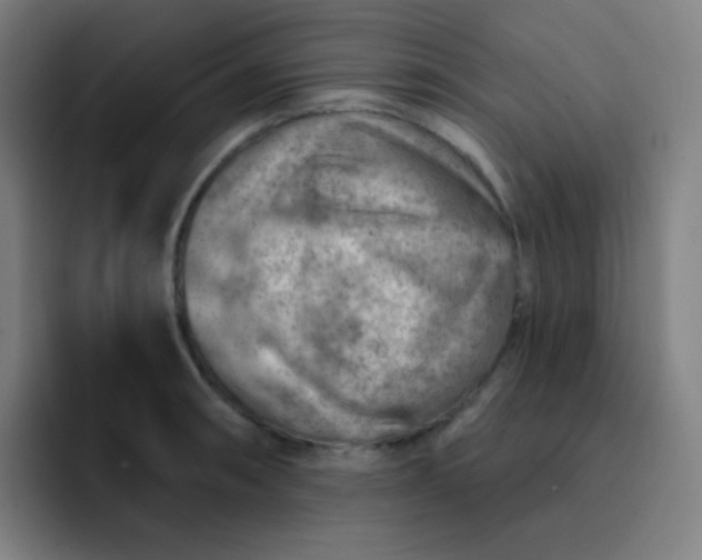 X0000093211090200710101322