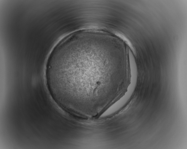 X0000093211091200710101322