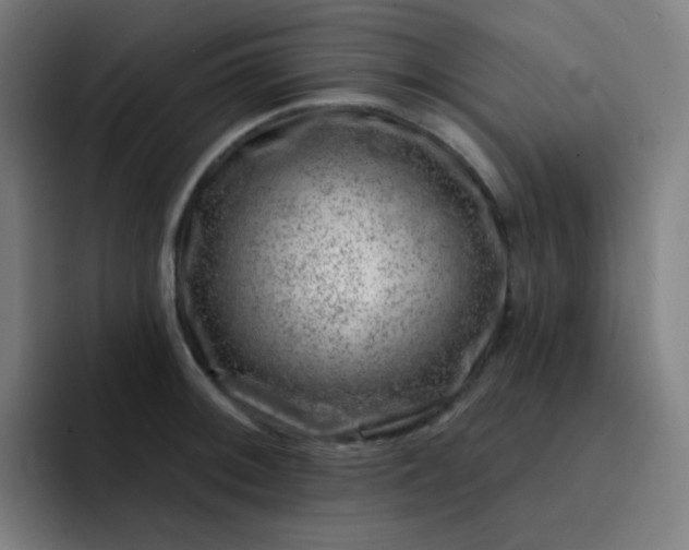 X0000093211092200710101322