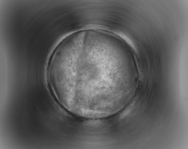 X0000093211094200710101322