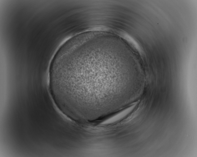 X0000093211095200710101322