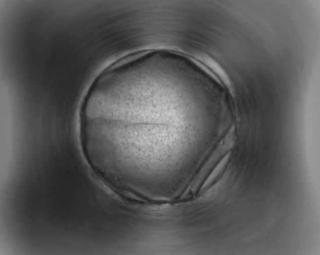 X0000093211096200710101322