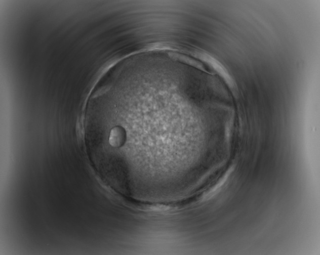 X0000093211097200710101322