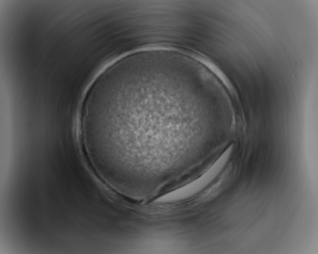 X0000093211101200710101322