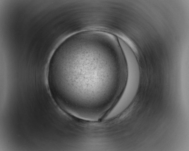 X0000093211102200710101322