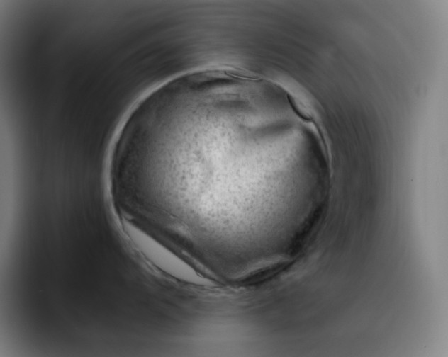 X0000093211104200710101322