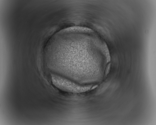 X0000093211105200710101321