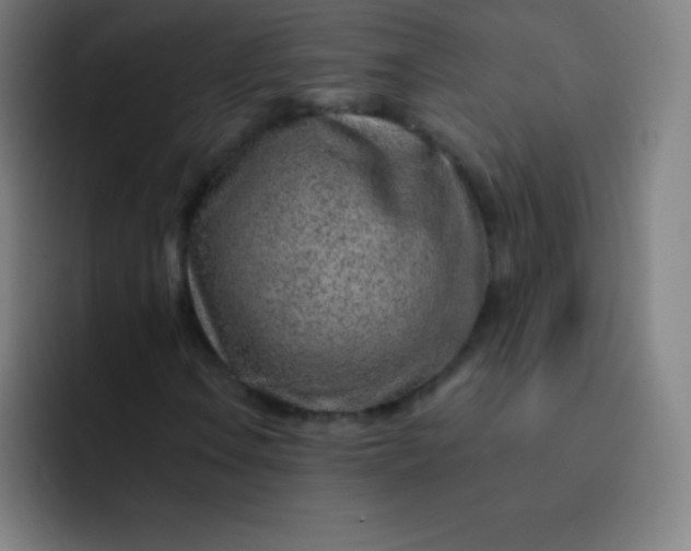 X0000093211106200710101321