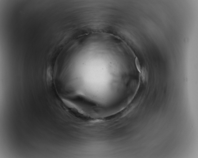 X0000093211107200710101321