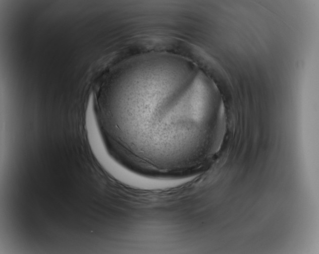 X0000093211108200710101321